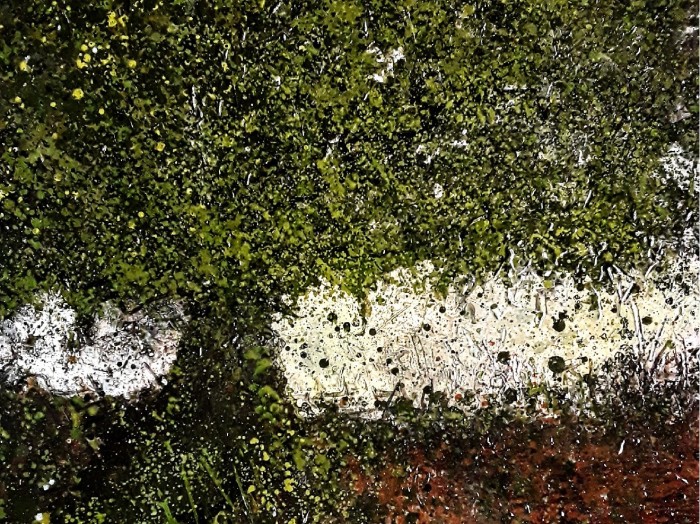Returning Home: Artist Ian R. Pearsall Brings New Exhibition to Café Sobar